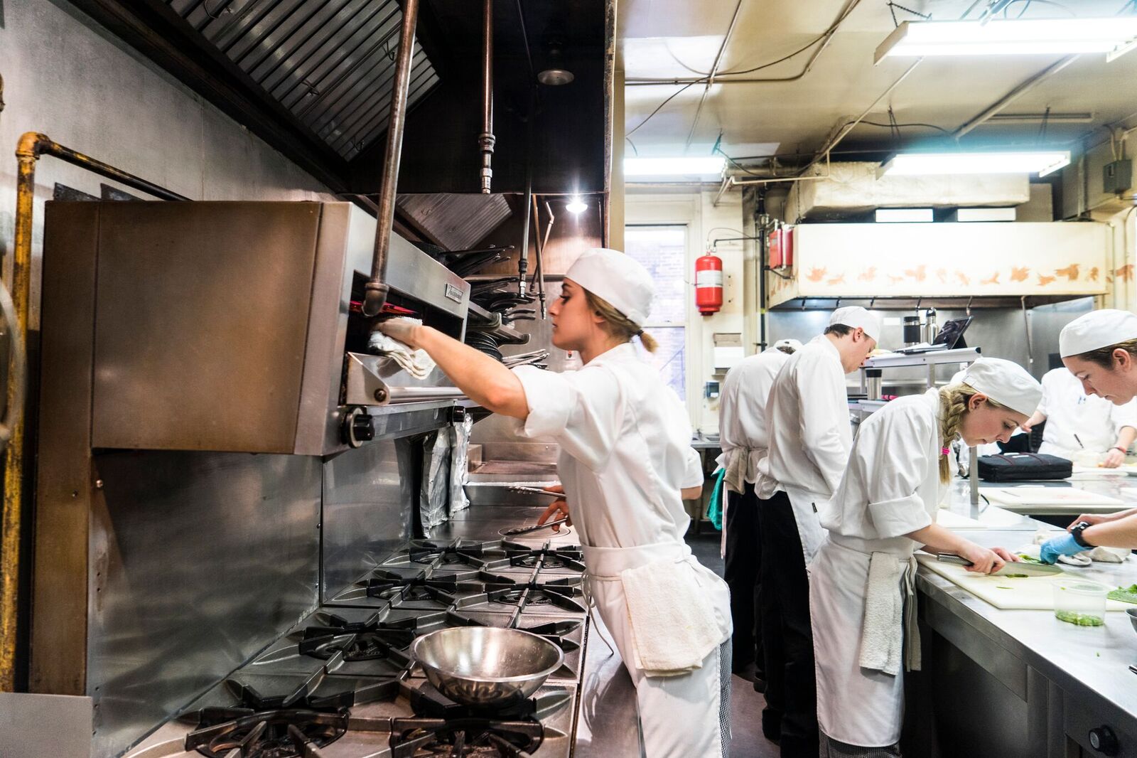 Level One Sanitation - Stratford Chefs School