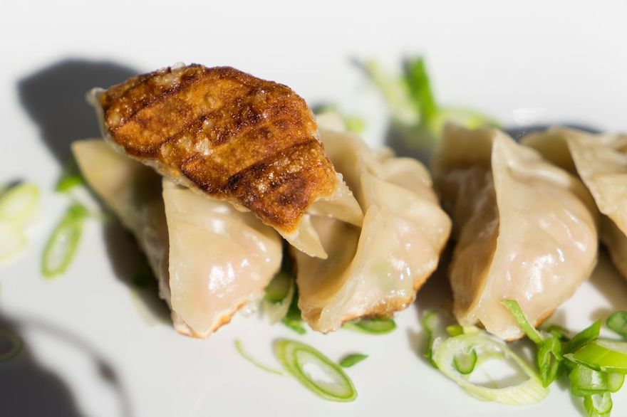Open Kitchen Home GYOZA POTSTICKERS Stratford Chefs School