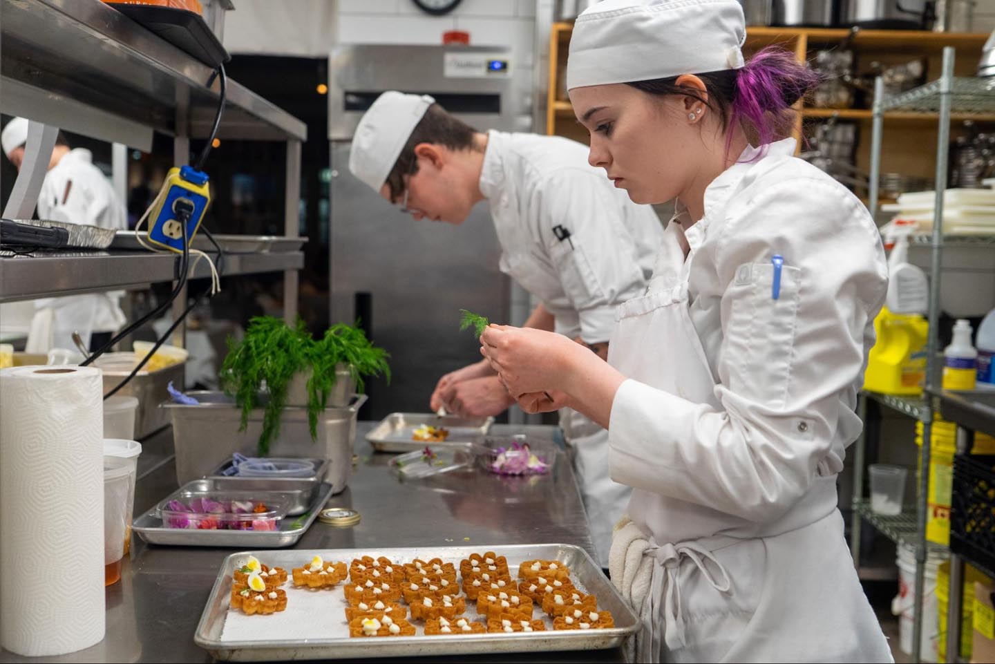 32 Wk Hands-on Chef Course Program - Stratford Chefs School