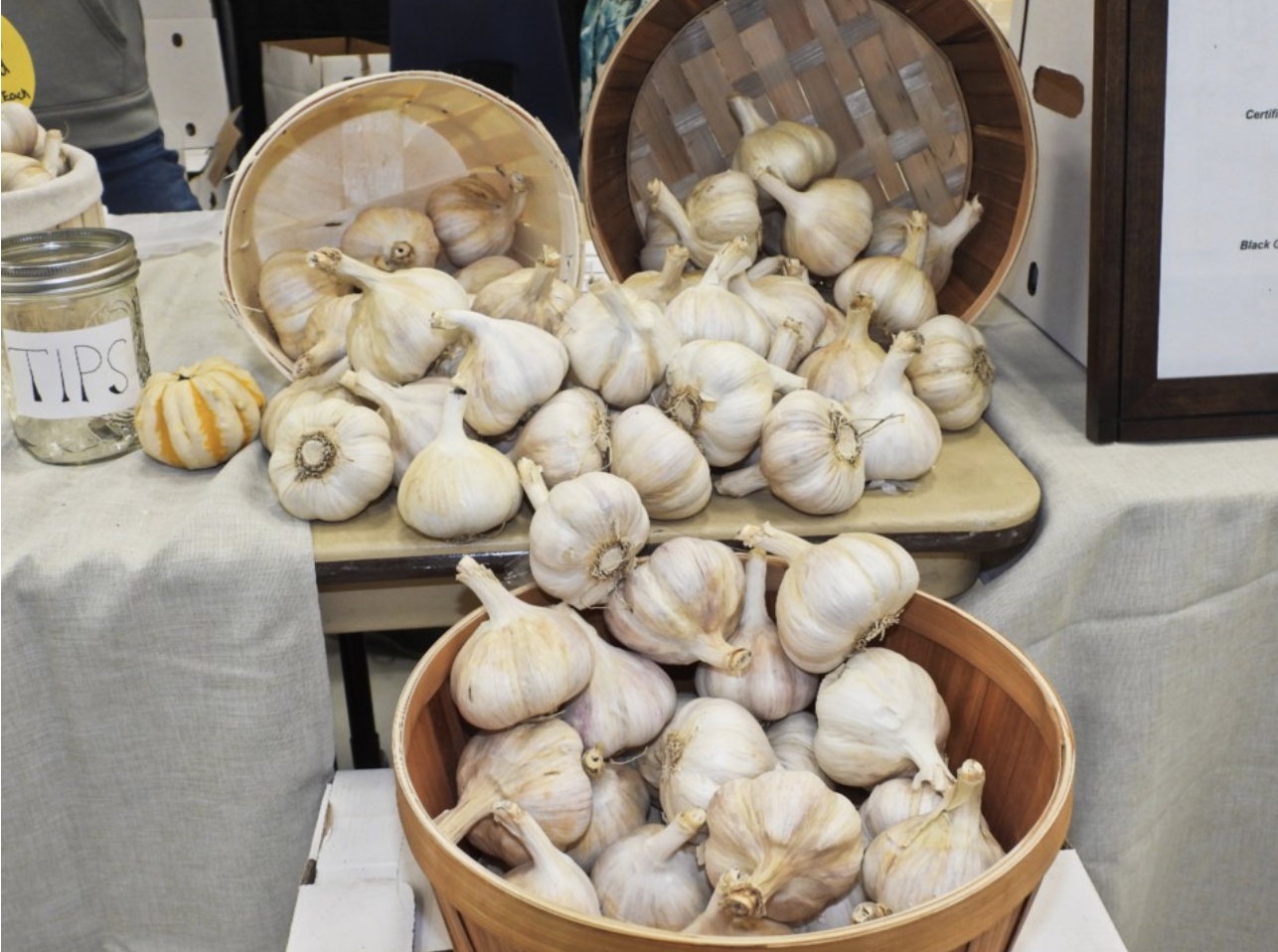 Garlic Festival News